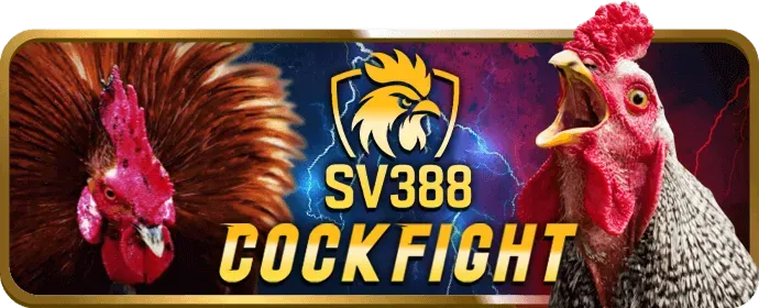 Cá độ bóng đá